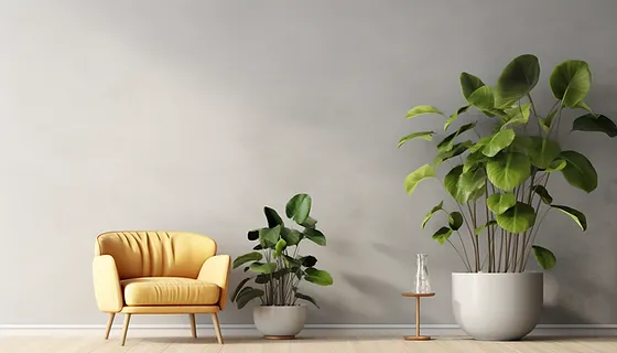 Add Life to Your Home with Indoor Plants for Decor photo 3