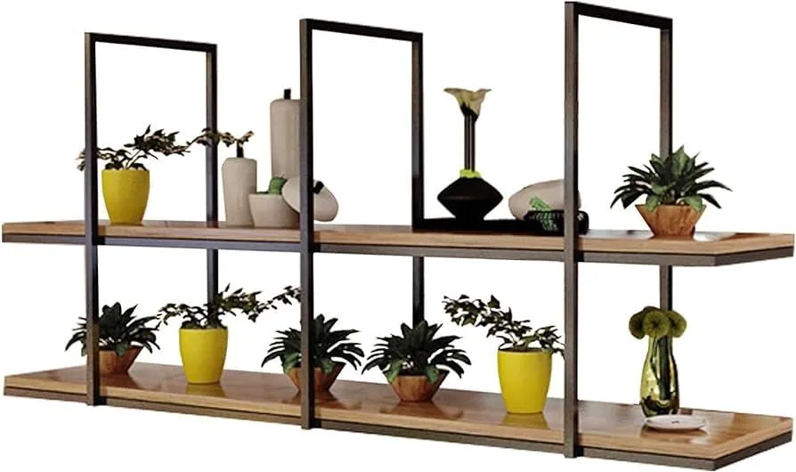 How to Hang Shelving Plants Indoors for an Attractive Interior Design image 2