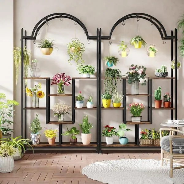 How to Hang Shelving Plants Indoors for an Attractive Interior Design image 3