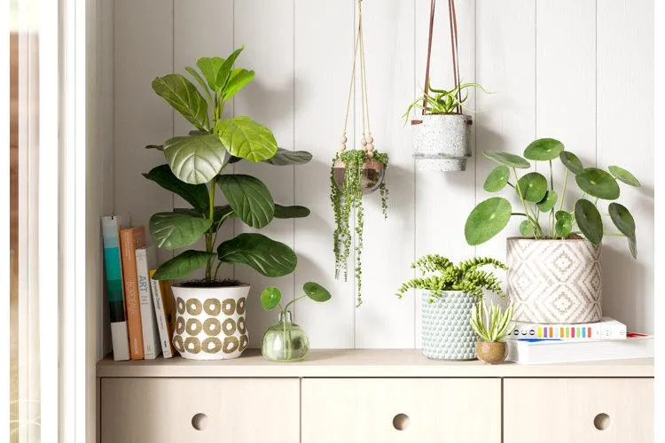 Easy Tips for Hanging Plants Inside Your Home – How to Hang Indoor Plants from the Ceiling or Walls photo 2