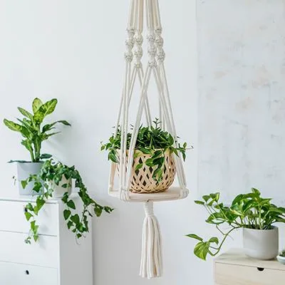 Easy Tips for Hanging Plants Inside Your Home – How to Hang Indoor Plants from the Ceiling or Walls photo 4