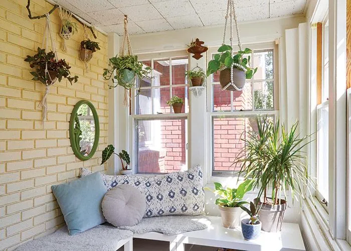 Hanging Indoor Plants to Brighten Up Small Spaces: Apartment Plant Ideas photo 3