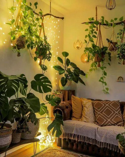 Hanging Indoor Plants to Brighten Up Small Spaces: Apartment Plant Ideas photo 4