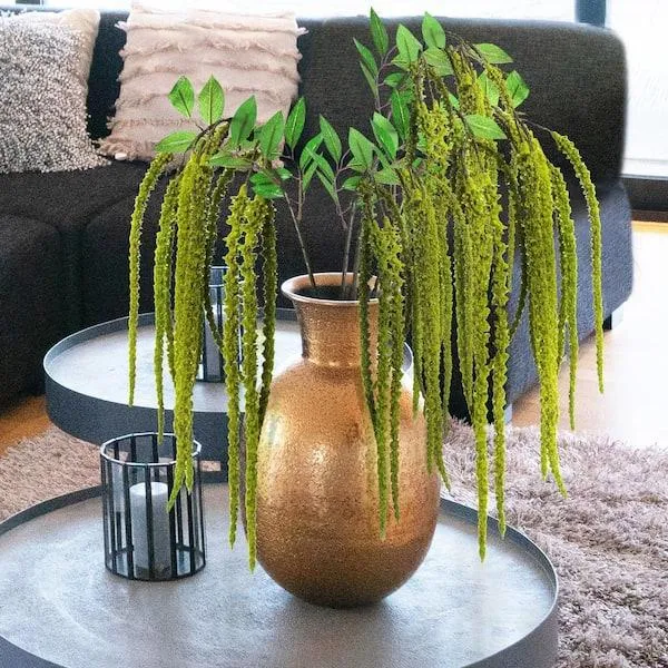 The Best Hanging Plants to Add Greenery to Any Room photo 3