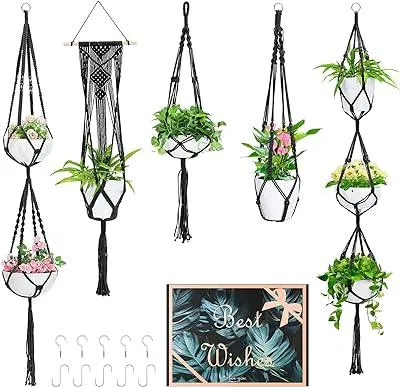 Top 5 Hanging Plant Types for Indoor and Outdoor Decor image 4