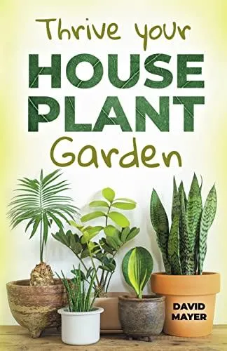 Rare and Unusual Houseplants: A Guide to Finding Unique Indoor Plants image 4