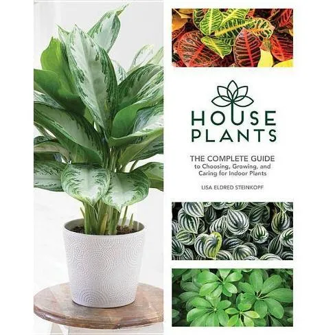 Care for Indoor Tropical Plants: A Complete Guide to Keeping Houseplants Thriving image 4