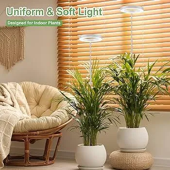 Best Indoor Trees That Thrive With Minimal Lighting – Low Light Houseplant Options photo 4