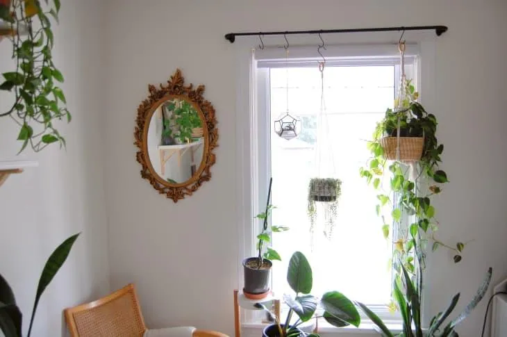 How to Hang Indoor Plants in an Apartment – Easy Hanging Plant Ideas and Tips for Small Spaces photo 2