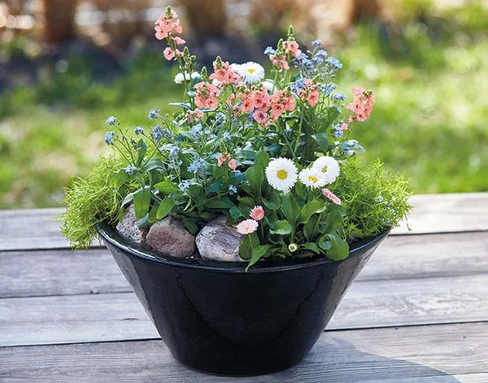 Beautiful Cascading Flower Pots – Quick DIY Garden Ideas image 2