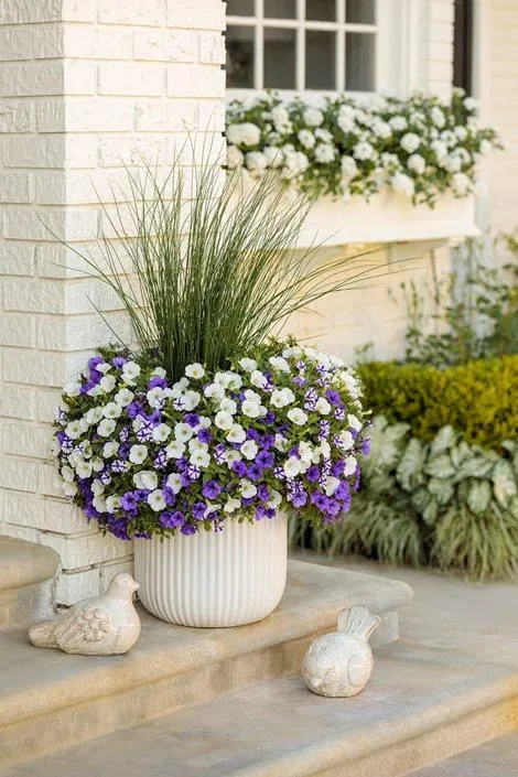 Beautiful Cascading Plants to Grow in Pots: Care Tips and Varieties photo 4