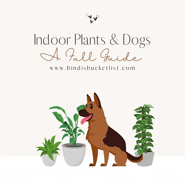 Cat and Dog Safe Houseplants – A Guide to Non-Toxic Indoor Plants for Pets