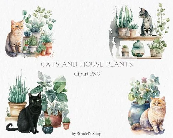 How Cats Interact with Philodendron Houseplants – Cats and Houseplants photo 4