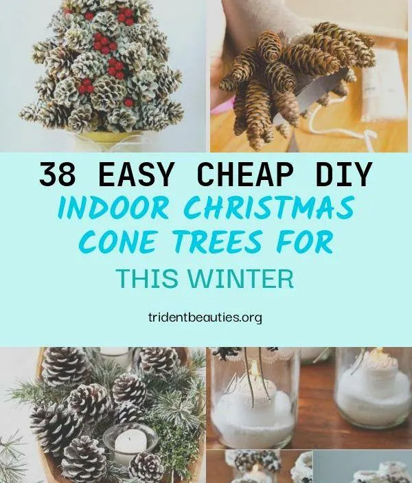 How to Make an Indoor Tree at Home with DIY Ideas photo 3