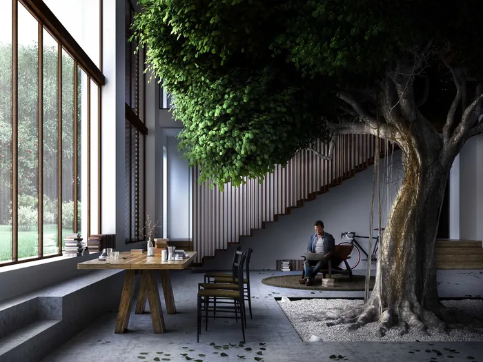 Bring the Beauty of Nature Inside With Indoor Live Trees photo 2