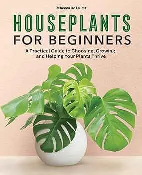Indoor Plants Arizona – A Guide to Keeping Houseplants Thriving Indoors in the Desert