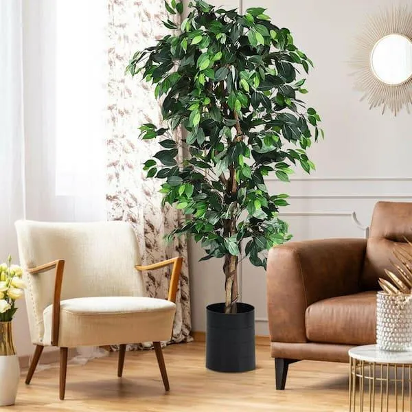 Indoor Plant Trees: The Best Faux & Real Mini Tree Plants for Your Home