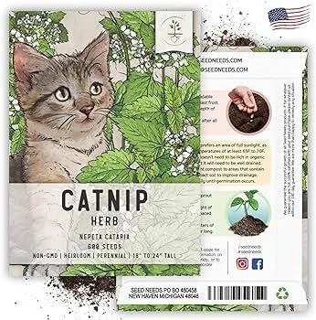 Safe Soil for Cat Owners: How to Choose Non-Toxic Topsoil and Potting Mix photo 3