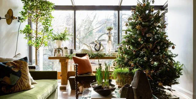 Small House Trees: How to Choose and Care for Tiny Trees Perfect for Small Spaces image 2