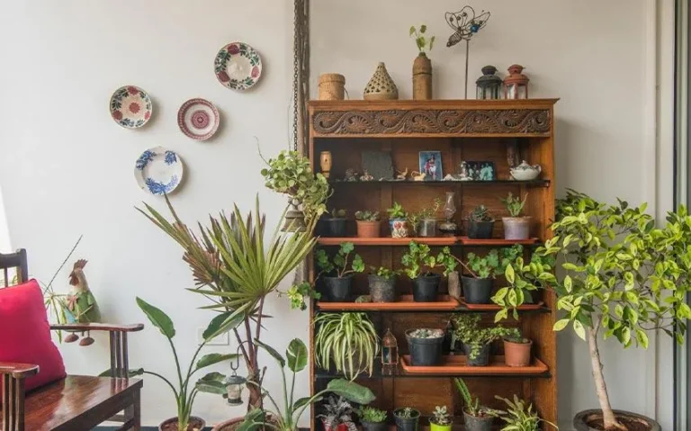 Beautiful Indoor Plant Decorating Ideas to Bring Nature Inside