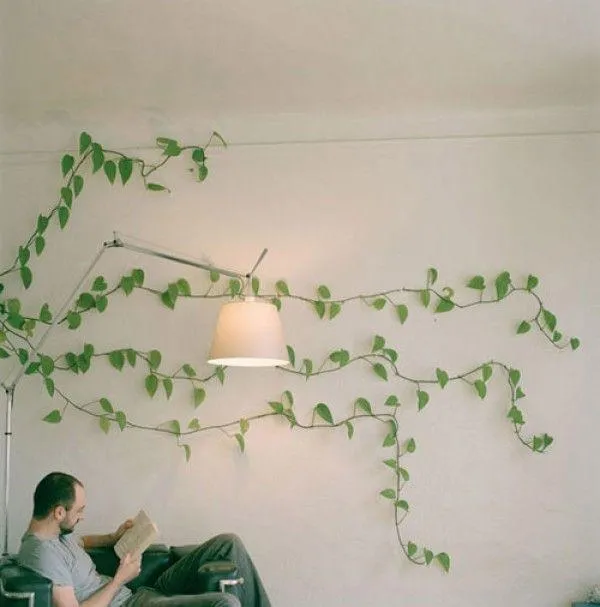 How to Plant Ivy Indoors: A Complete Guide to Growing Ivy Plants Inside Your Home