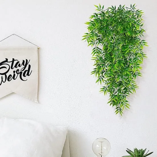 The Best Wall Hanging Plants for Indoor Decor and Atmosphere photo 3