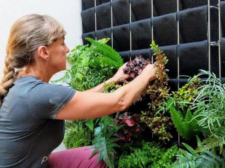 Plants that Thrive Cascading Down Walls – How to Grow Beautiful Vertical Gardens photo 4