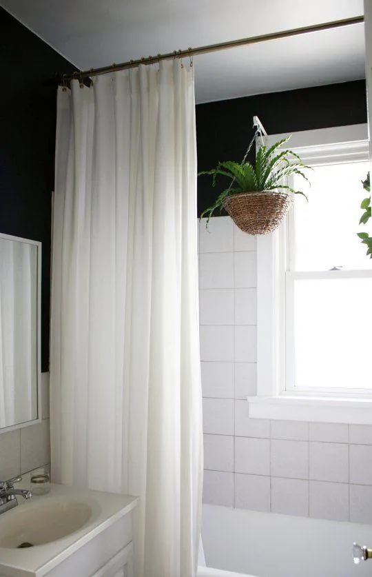 Plants that Drape – Choose the Right Hanging Plants for Your Space photo 4