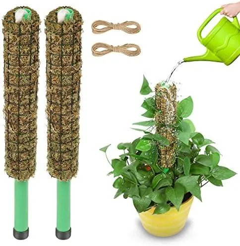 How to Create and Use a Wicking Moss Pole for Happier Houseplants image 4
