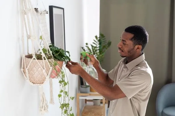 The Best Hanging Plants to Add Beauty and Life to Your Home image 2