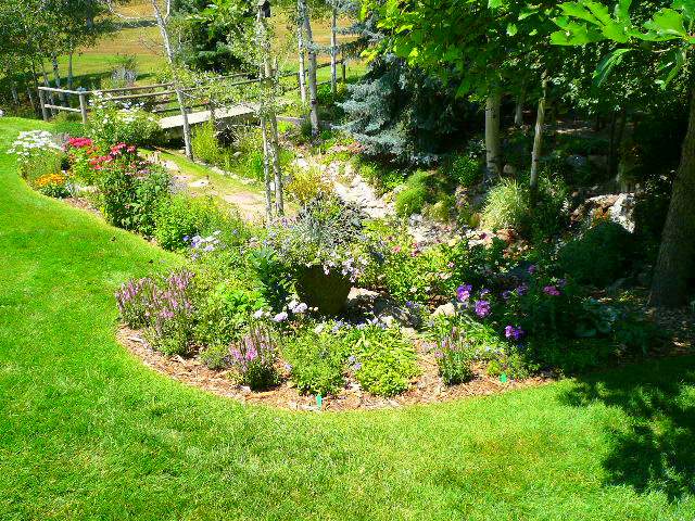 Green Spaces at Home: Expert Tips for Successful Gardening